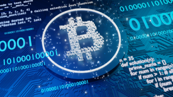 資金詐騙案件處理指南